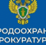 Нижегородская межрайонная природоохранная прокуратура разъясняет - Городской округ Сокольский